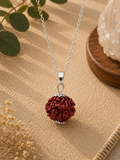 Colgante de Semilla de Rudraksha
